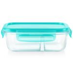 Kitchen Galaxy 2.3-cup Divided Glass Food Storage Container with Turquoise Lid