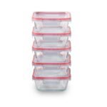 Kitchen Galaxy 10-piece Meal Prep Glass Storage Set